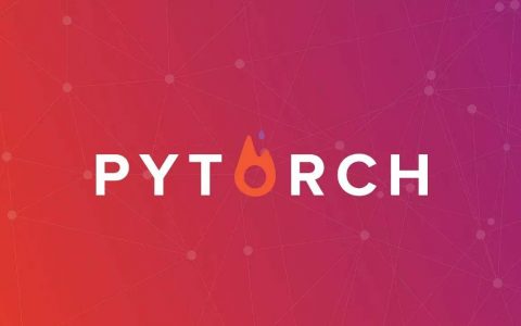PyTorch 60 分钟入门教程：数据并行处理